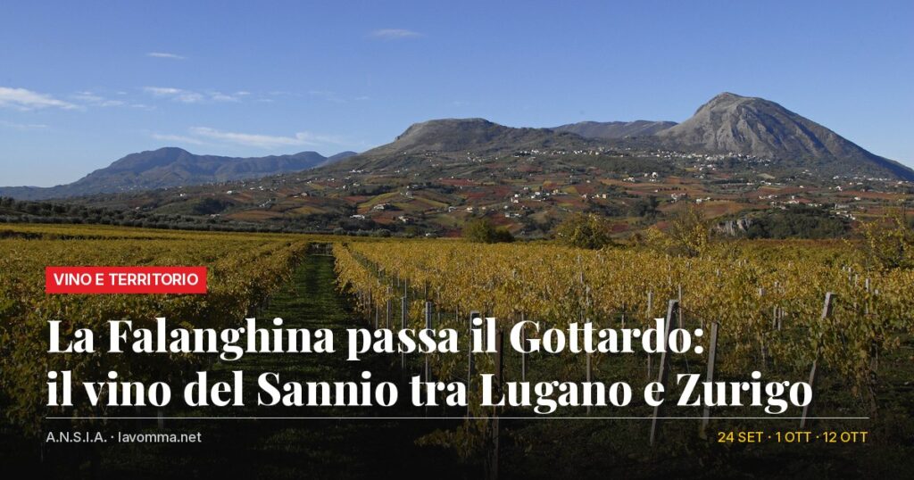 lavomma vini sannio svizzera cover