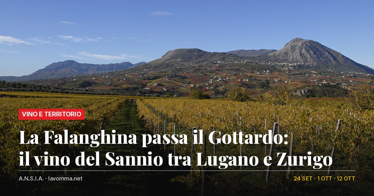 lavomma vini sannio svizzera cover